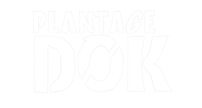 Plantage Dok
